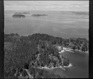 Mansion House Bay, Kawau island