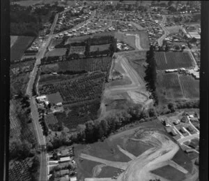 Tui orchard, for New Zealand Housing Corporation land development