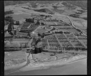 Wharekawa, Firth of Thames, Auckland