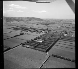 Clevedon Valley, Auckland