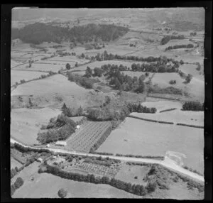 Orchards at Otumoetai, Tauranga