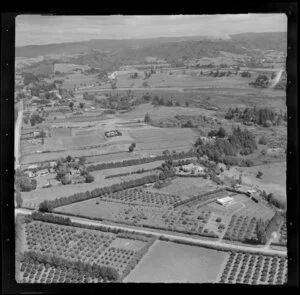 Orchards at Otumoetai, Tauranga