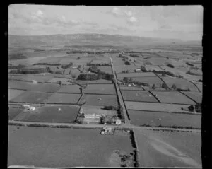 Puni School, Pukekohe