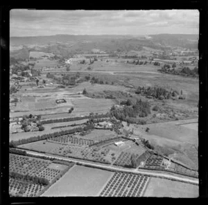 Orchards at Otumoetai, Tauranga