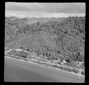 Bushland and houses, Lake Rotoma, Rotorua