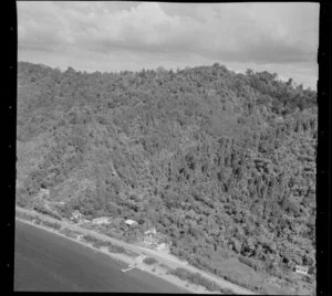 Bushland and houses, Lake Rotoma, Rotorua