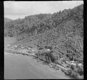 Bushland and houses, Lake Rotoma, Rotorua