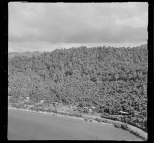 Bushland and houses, Lake Rotoma, Rotorua