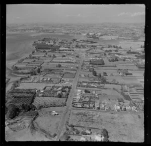 Mangere, Auckland, including orchards in the foreground