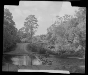 Ford in the road behind the High School, Whangarei