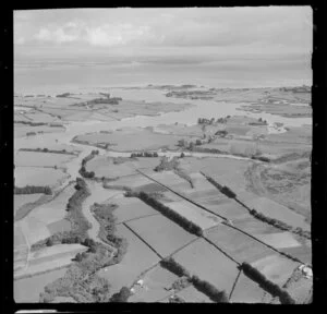 Sewerage Creeks, Mangere, Auckland