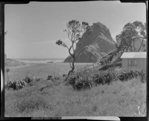 Piha, Auckland, showing beach and part of house