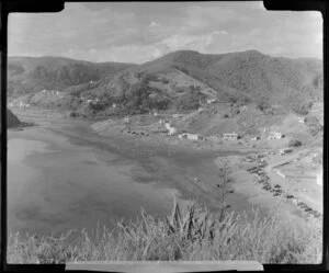 Beach at Piha, Auckland, showing houses and hills