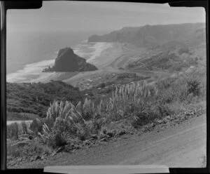 Piha, Auckland, looking down at beach including Lion Rock
