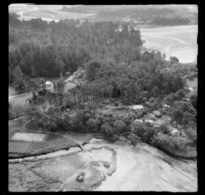 Red Beach, Rodney District, Auckland, showing pine trees and houses