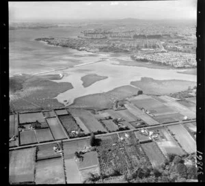 Avondale, Auckland, including fields and Auckland-Kumeu Motorway