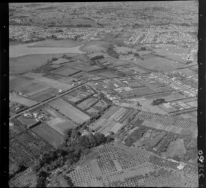 Avondale, Auckland, showing fields and houses