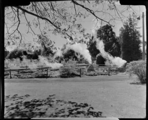 Government Gardens, Rotorua, showing steaming geothermal pool with lawn bowls beyond