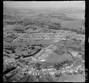 Mount Roskill, Auckland, showing housing