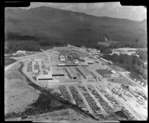 Mill at Whakarewarewa, Rotorua, showing buildings and stacked timber, surrounded by pine plantation