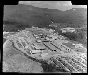 Mill at Whakarewarewa, Rotorua, showing buildings and stacked timber, surrounded by pine plantation