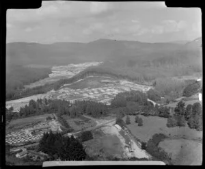 Mill at Whakarewarewa, Rotorua, showing a housing estate within a pine plantation with forestry workers cabins