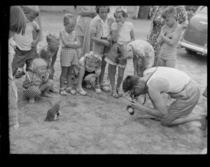 Unidentified man taking a photograph of a penguin at the Motor Camp, Paihia, Bay of Islands