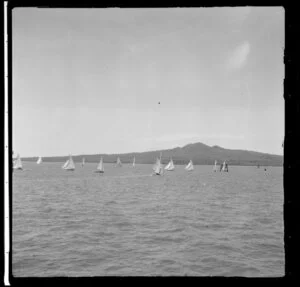 Yachting, Auckland Harbour Regatta, including Rangitoto Island in the background