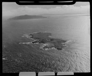 Dog Island, Foveaux Strait