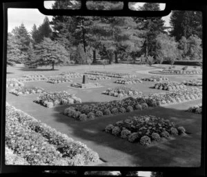 Ashburton Domain, showing flower beds and trees