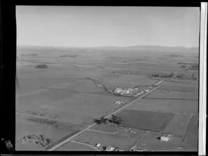 Winton, Southland District, including flax plantation