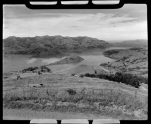 Akaroa, Banks Peninsula, showing hills and grass area