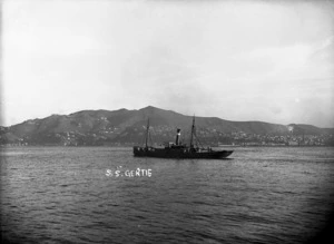 SS Gertie, Wellington Harbour