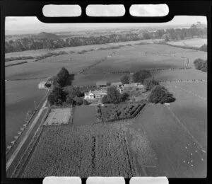 Homestead, Papatoetoe, Auckland