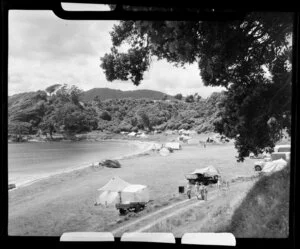 Camping ground, Long Bay, Coromandel