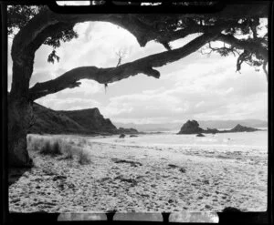 Kuaotunu Beach, Coromandel Peninsula