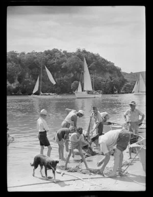 Removing small fish from a fishing net on the beach by Whitianga harbour