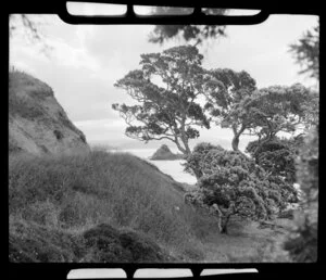 Kuaotunu Beach, Coromandel Peninsula