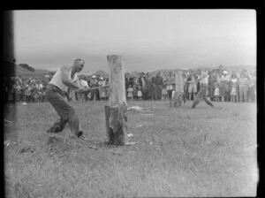 Unidentified men participating in a wood chopping contest at a sports event at Coroglen, Thames-Coromandel District