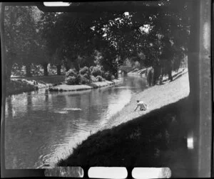 Avon River, Christchurch