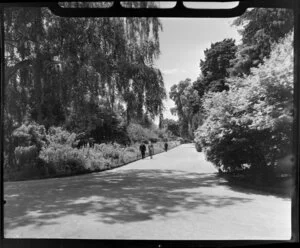 Unidentified couple walking through Botanic Gardens, Christchurch