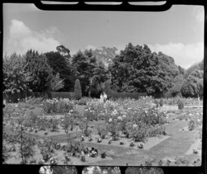 Unidentified couple in the Botanic Gardens, Christchurch