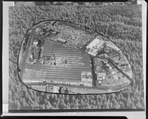 Composite of Henderson and Pollard factory, Mount Eden, Auckland on background of Kaiangaroa Forest