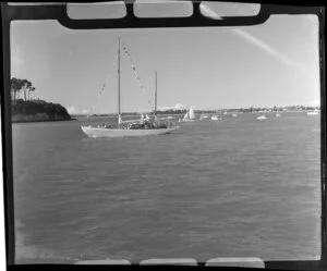 Auckland Regatta, yachts on Auckland Harbour