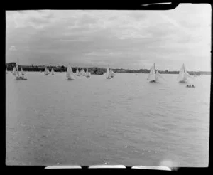 Auckland Regatta, yachts on Auckland Harbour