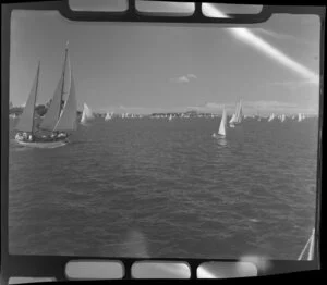 Auckland Regatta, yachts on Auckland Harbour