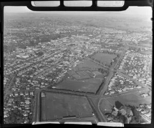 Willoughby, Hinemoa, Boyes, and Seddon Parks, Hamilton, Waikato Region