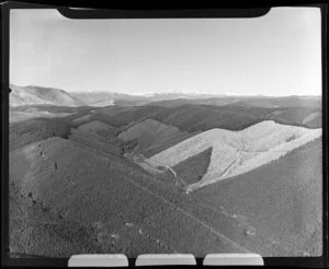 Golden Downs,Tasman District