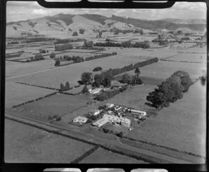 New Zealand dairy co-operative cheese factory, Cambridge, Waikato