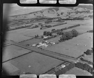 NZ Dairy co-operative cheese factory, Cambridge, Waikato